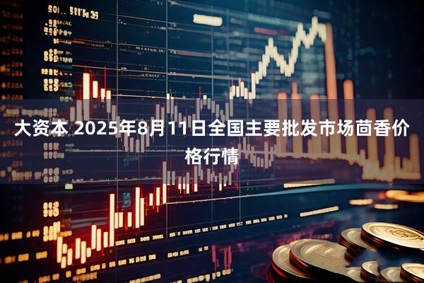 大资本 2025年8月11日全国主要批发市场茴香价格行情