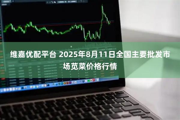 维嘉优配平台 2025年8月11日全国主要批发市场苋菜价格行情
