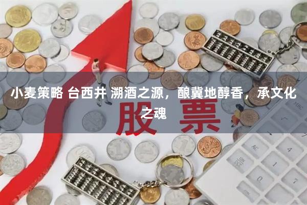 小麦策略 台西井 溯酒之源，酿冀地醇香，承文化之魂